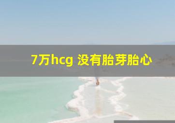 7万hcg 没有胎芽胎心